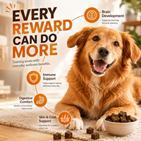 Friandises multifonctionnelles pour l'entraînement des chiens avec DHA, probiotiques et biotine – Formule tout-en-un pour la santé de la peau, du pelage et du cerveau – Sachet de 1 lb