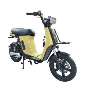 Portaequipajes de Carga con Disco Delantero/Trasero de Dos Ruedas con Certificación CE para Entrega de Comida Rápida, Pizza, Scooter Eléctrico con Motor de 500W/800W con Pedaleo Asistido - Product Image 5