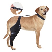 Quantité minimale de commande bas de jambe arrière réglable pour chien vente à chaud vente en gros de genouillère/attelle de soutien en métal pour chien