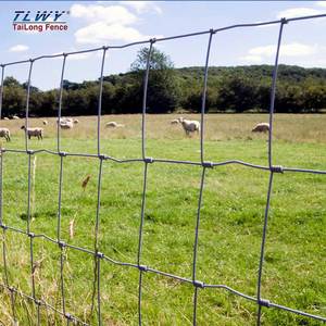 Hàng rào dây trang trại đồng bằng hàng rào dây lưới trang trại mạ kẽm trang trại dây hàng rào - Product Image 4
