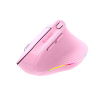 Desain Terbaru RGB 2.4Ghz Inalambrico Nirkabel Mouse Vertikal Ergonomis untuk PC Laptop Rumah Kantor