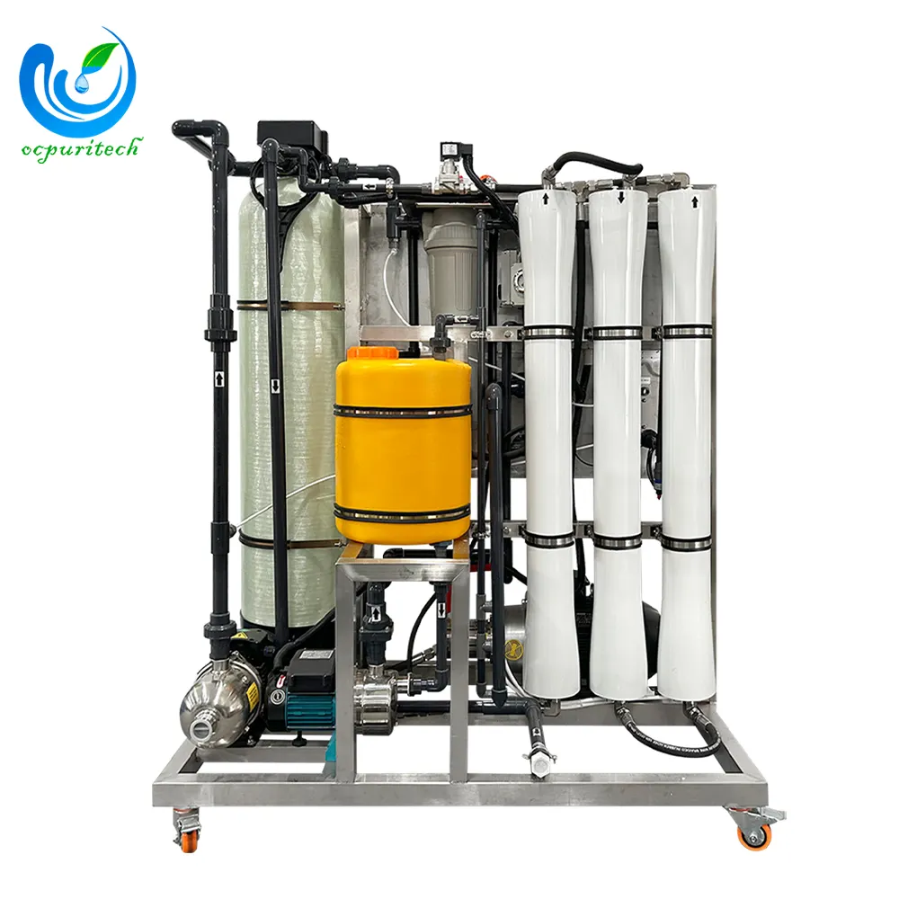 Sistema di desalinizzazione dell'acqua di mare 500LPH PLC sistema di trattamento delle acque