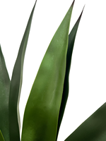 Nouvelles plantes artificielles TREESMAS LX020 en gros pour décoration intérieure/extérieure 83*100cm en plastique sisal épais, designs personnalisés, Chine