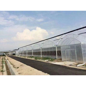 Serres agricoles multi-travées <span class=keywords><strong>en</strong></span> acier galvanisé avec film PE pour la culture <span class=keywords><strong>de</strong></span> fraises <span class=keywords><strong>en</strong></span> <span class=keywords><strong>gros</strong></span> - Product Image 3