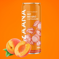Thé Kombucha prêt à boire de qualité supérieure Meilleur concentré de pêche abricot réfrigéré OEM Boisson gazeuse Bouteille de citron du Vietnam Thé au lait en vrac
