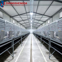 Bâtiment d'élevage avicole préfabriqué isolé avec structure en acier fermée, pour élevage de vaches en cages multi-niveaux à batterie et système de ceinture à fumier