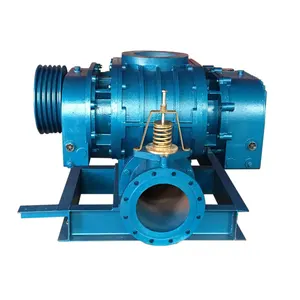 Roots blower for pneumatic conveying