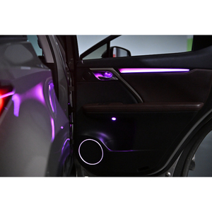 Iluminación Ambiental para Automóvil, Directo de Fábrica, Fibra Óptica Acrílica Symphony para Lexus RX 2016-2021, Kit de Lámparas LED Interiores - Product Image 3