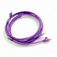 Cable de Red Cat6a Personalizado, Cable de Red RJ45, Cable de Red Cat6 de Cobre Desnudo