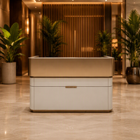 Comptoir de caisse pour magasin de détail, OEM ODM, bureau de réception moderne personnalisé avec éclairage décoratif
