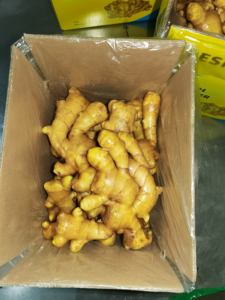 Jahe mentah organik segar bercelah untuk mitra bisnis pencari sayuran segar - Product Image 5