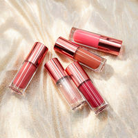 Gloss à lèvres minéral végétalien OEM, étiquette privée, logo personnalisé, imperméable, longue tenue, teinte à lèvres, vente en gros, taille standard, gloss liquide