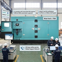 Générateur diesel silencieux 150 kVA, type silencieux, 120 kW, insonorisé, triphasé, 50/60 Hz, refroidi par eau, certifié CE, alimenté par Weichai, fonctions ATS