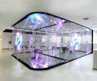 Pantalla LED de Película Flexible Transparente P4 P5 P6 P8 P10