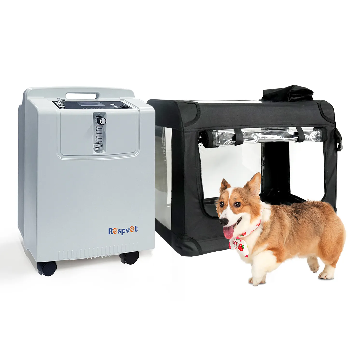 Longfian Fourniture d'usine Concentrateur d'oxygène professionnel 5L pour l'oxygénothérapie personnalisée pour les petits animaux pour les centres de soins pour animaux de compagnie