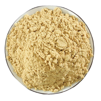 Poudre d'extrait de gingembre avec gingérol, qualité supérieure, pure et naturelle, 100% meilleure poudre de gingembre, poudre de gingembre sèche pour la cuisine