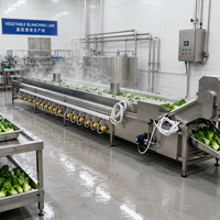 Automatische fruit- en groenteverwerkingslijn, koolzaadblancher, snelvrieslijn voor groenteverwerking, enzym-inactivatielijn