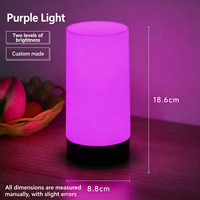 Lampe de table LED rechargeable 3500K blanc chaud, lumière d'ambiance créative pour camping extérieur, marché nocturne, bureau, café