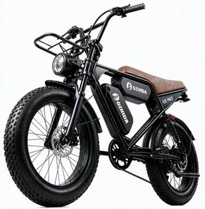 20 * 4-inch <b>Fat</b> Tire 48V15ah Lithium Battery Brushless Dual Suspension Dual Disc Brake Retro City Electric Mountain <b>Bike</b> - Product Image 2
