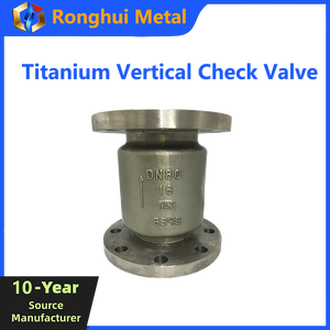 Válvula de Retención Vertical de Titanio, Resistente a la Corrosión, a Ácidos y Álcalis, para Tuberías de Agua, Petróleo y Gas, Suministro del Fabricante - Product Image 1