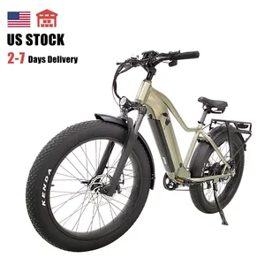 Usa Warehouse High Speed 26" Fat Tire Electric Bicycle Adult 48V 500W 750W 1000W Powerful Mens Mountain Electric Bike
