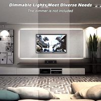 Guirlandes lumineuses LED de 150 pieds pour extérieur, étanches : 110V, lumière blanche du jour, dimmable, bande plate 6500K, découpable, connectable