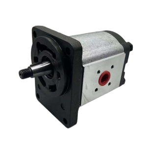 Pompa Idraulica a Ingranaggi Serie PHP Fornita dalla Fabbrica: PHP20.26D0-83E2-LBF/BD-N, PHP30.52D0-84E3-LEF/EE-N, PHP40.80D0-81E2-<span class=keywords><strong>LFE</strong></span>/EF-N - Product Image 4