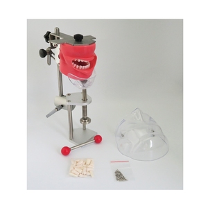 Tête de mannequin dentaire avec masque facial pour la pratique et l'apprentissage - Product Image 6