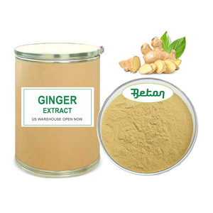 Nhà Máy giá bán buôn Gừng hữu cơ gốc khô chiết xuất 4:1 10:1 sức mạnh tốt tan trong nước BỘT Zingiber chiết xuất - Product Image 1