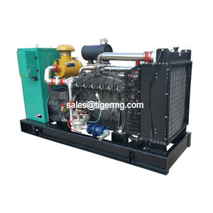 1mw 20kw 50kva 100kw 120kw 200kw 200kva 1000kw発電機バイオガスLng LPG電気ガス発電機 - Product Image 2