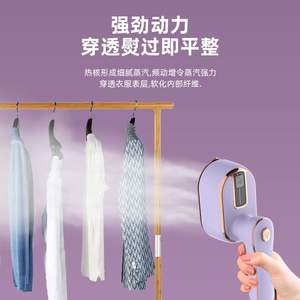 Défroisseur Vapeur Portable Violet 0,8 L pour Usage Domestique et Commercial - Product Image 5