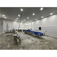 Équipement d'abattage automatique à haute efficacité pour poulet, poisson, pattes, ailes, griffes, machine de tri par poids, ligne d'abattage en acier