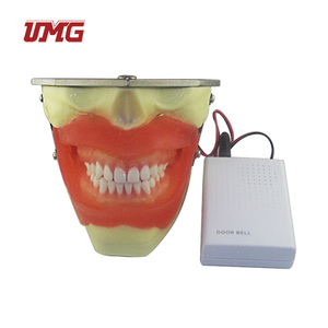 <span class=keywords><strong>Precio</strong></span> de fábrica, Kit de educación en ciencias dentales, modelo de extracción de anestesia - Product Image 4
