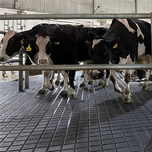 <span class=keywords><strong>3</strong></span> Ano Garantia Vaca Piso De Borracha Laticínios Vaca Ordenha Salão Equipamento Piso De Borracha Estável Cavalo - Product Image 6