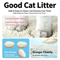 Litière pour chat en tofu biodégradable, écologique, hautement absorbante, jetable dans les toilettes, sans poussière, à agglomération rapide, parfum fruité, en matériaux naturels