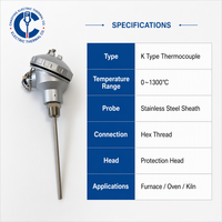 Sonde de température personnalisable en acier inoxydable RTD PT100, 400mm 500mm, filetage NPT 1/2'', thermocouple, support OEM/ODM