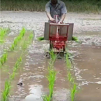 Transplanteur de riz manuel de haute qualité à 2 rangs – Semoirs et transplanteurs