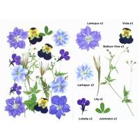 Pack de fleurs pressées teintées 18-19 pièces pour la décoration de journaux, la création d'autocollants, la papeterie et les fournitures d'artisanat