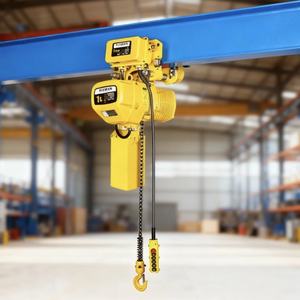 ALLMAN M4 kualitas tinggi kelas kerja 1ton kerekan rantai listrik tugas berat untuk gudang konstruksi - Product Image 1