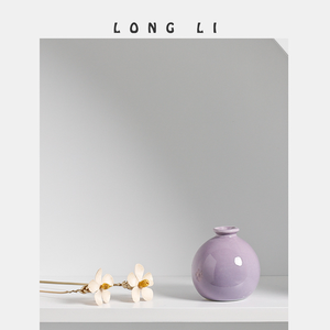 Macetas de Cerámica para Suculentas, Estilo Jardín, Acabado Esmaltado, con Orificio de Drenaje, Ecológicas y Duraderas, Venta al Por Mayor - Product Image 2