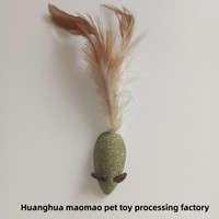 Jouet pour chat viral : Baguette à plumes de poulet et herbe à chat, friandises, fournitures pour animaux de compagnie Huanghua