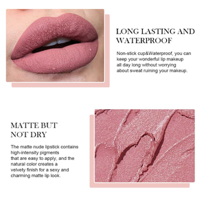 Delineador de Labios y Lápiz Labial Líquido 2 en 1 Vegano, Impermeable, Mate e Hidratante de Alta Calidad Personalizado (Múltiples Colores) - Product Image 5