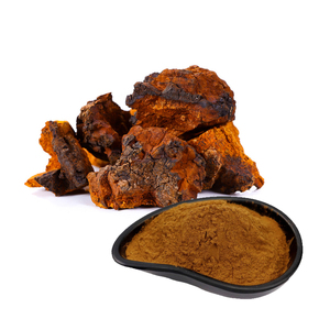 hochwertiges <span class=keywords><strong>Chaga</strong></span>-Pilzpulver aus <span class=keywords><strong>Chaga</strong></span>-Pilzen-Extrakt - Product Image 1