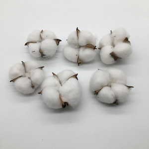 K-1040 Fiori di Cotone Artificiali Essiccati di Varie Dimensioni per Decorazione Casa, Vendita Calda - Product Image 6