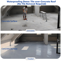Revêtement liquide transparent pour tuiles de toit extérieures, polyurée aliphatique, peinture d'étanchéité, revêtement de sol en résine polyaspartique imperméable pour béton