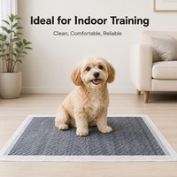 Tapis d'apprentissage jetables en charbon de bambou à haute absorption pour chiots, élimination des odeurs, vente en gros pour distributeurs d'articles pour animaux de compagnie