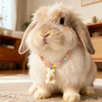 Nouveau collier pour animaux de compagnie en perles mignon et doux, accessoires pour collier de chat et de chien