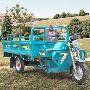 Eccezionale qualità WF1500DZH 2 metri moto elettrica <span class=keywords><strong>3</strong></span> ruote triciclo elettrico bici - Product Image 5