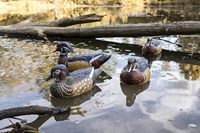 Décoy de chasse au canard canadien réaliste en mousse légère XPE/EVA gonflable personnalisable pour l'extérieur