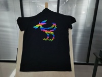 Imprimante pour t-shirts, machine d'impression de t-shirts, A3 Flatbet pour les petites entreprises, imprimante jet d'encre directe sur vêtement, imprimante DTG